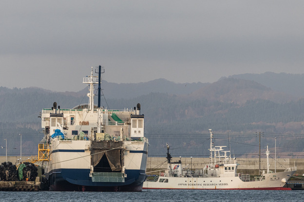 5J9A6826