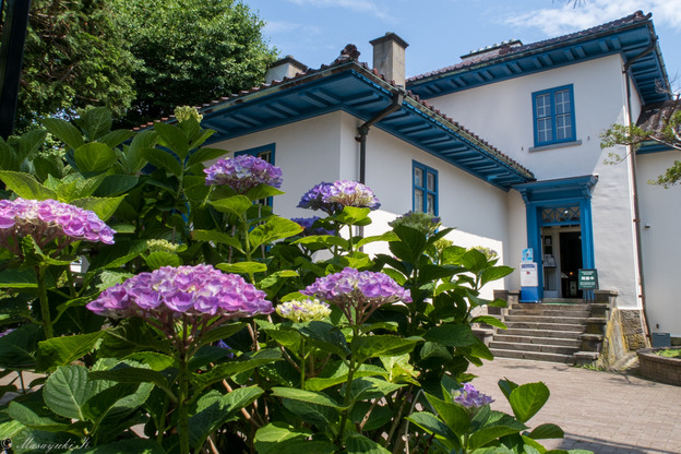 IMG_4245