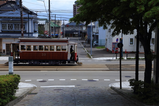 41566033.jpg