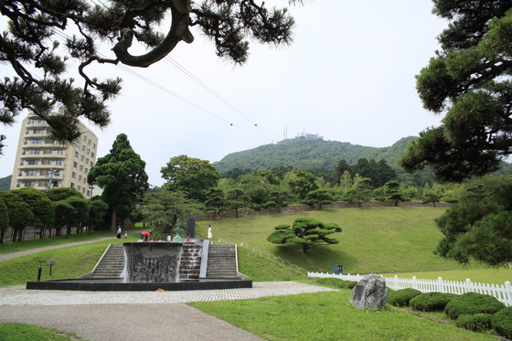 50a61781.jpg