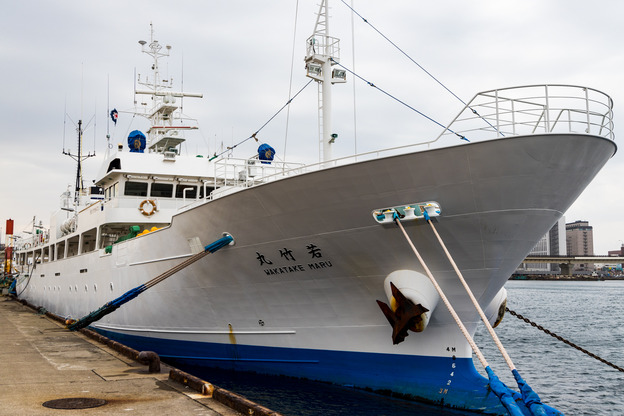 402A8862