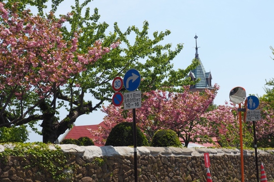 601e4494.jpg