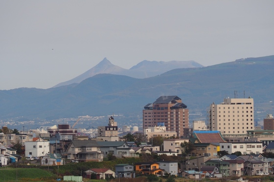 7a981351.jpg