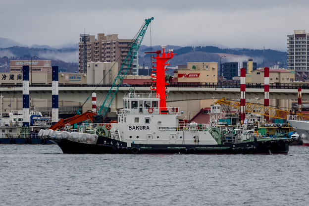 5J9A6695