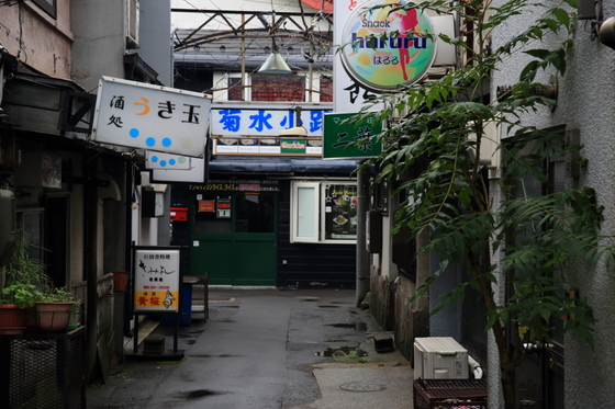 962d0179.jpg