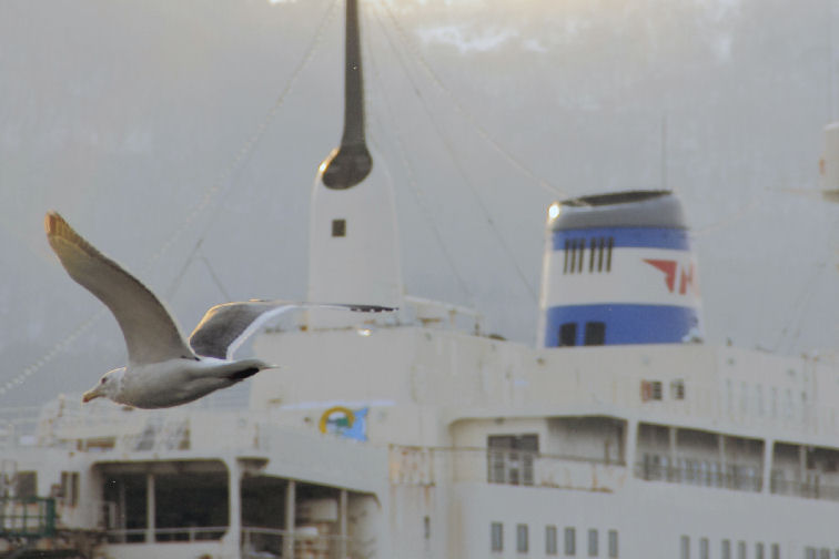 a727e81d.jpg