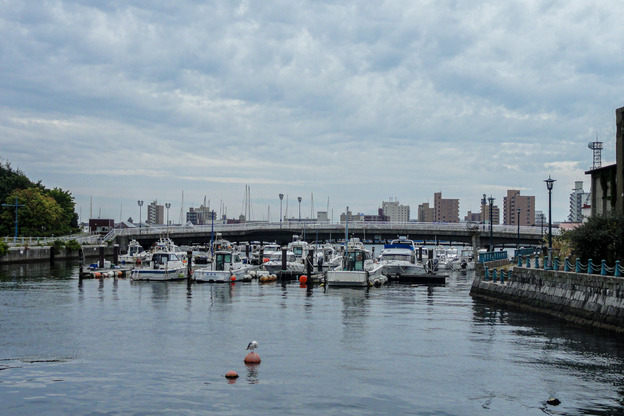 DSC00020