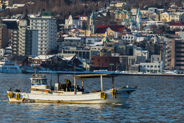 5J9A6449