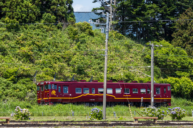 5J9A9941
