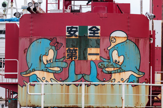 402A5979