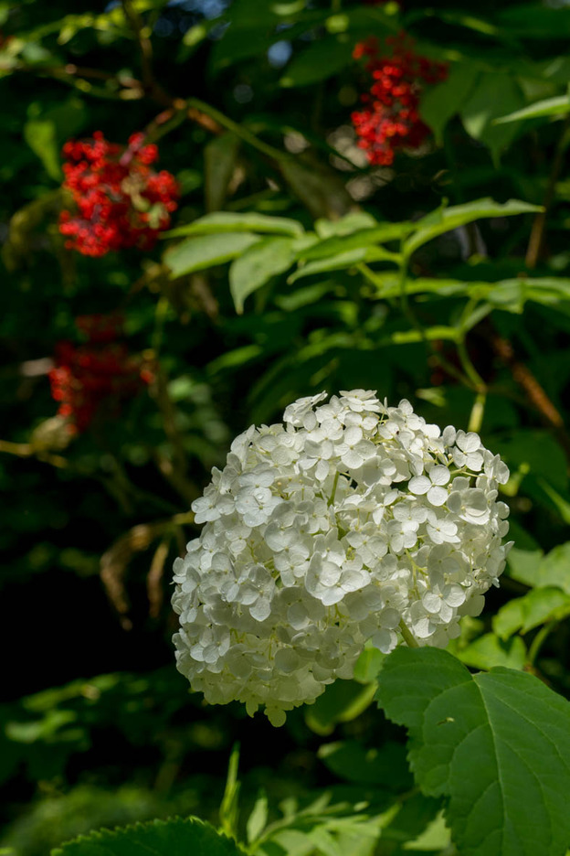 DSC07158
