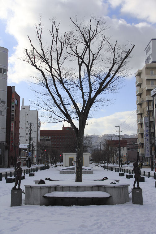 c3406380.jpg