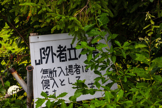 0A9A8962