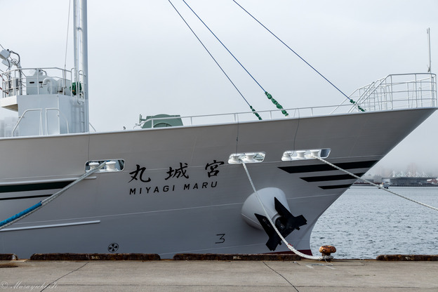 402A5802