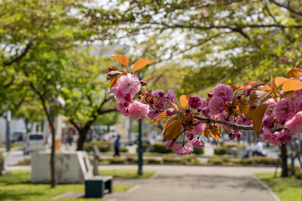 DSC05408
