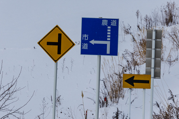 5J9A5488
