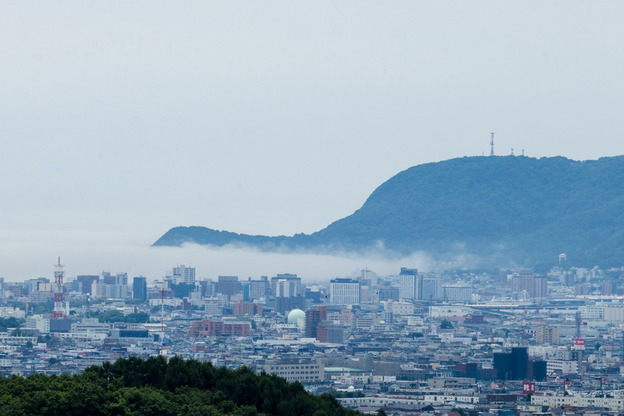 5J9A8927