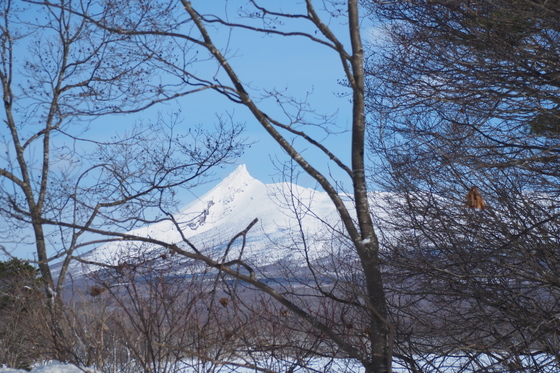 f41d70f1.jpg