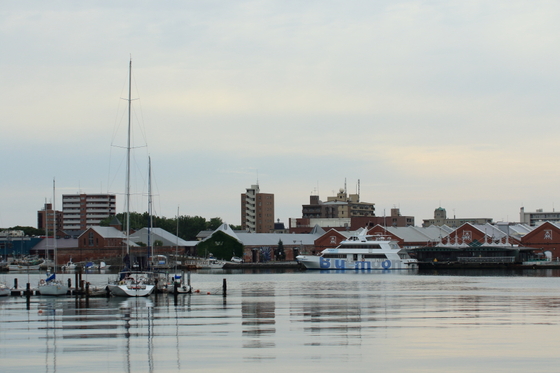 f605e63d.jpg