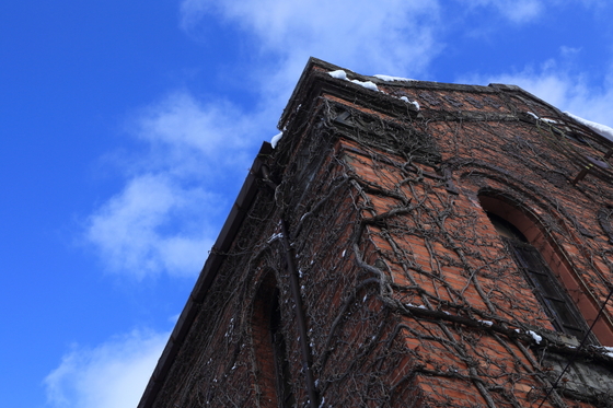 f6d79081.jpg