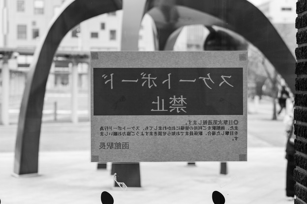 DSC04756