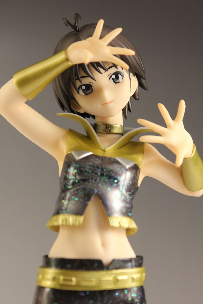 乙女に二言はありません！～メガハウス BrilliantStage THEIDOLM