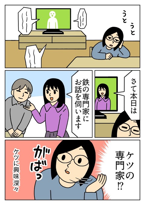 鉄の専門家