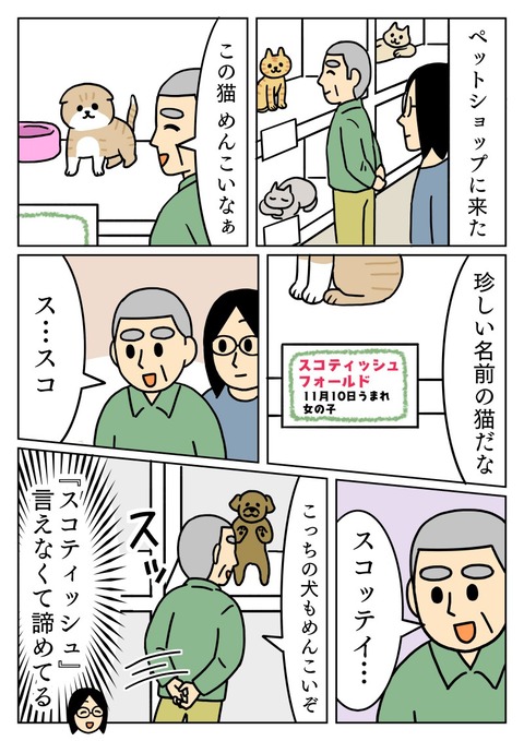 スコティッシュフォールドが言えない