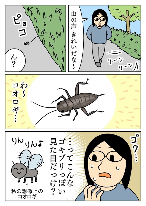 久しぶりに見たコオロギ