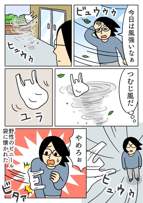 野性のビニール袋に懐かれる