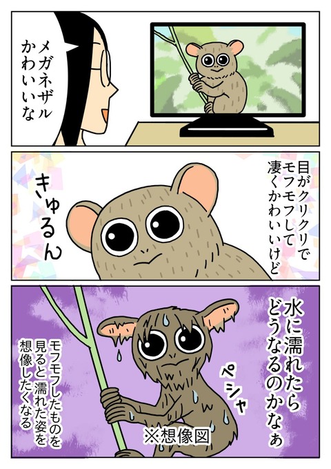 メガネザルが濡れた所を想像してしまう