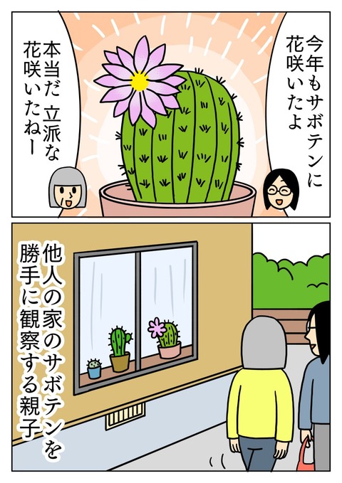 他人の家のサボテン観察