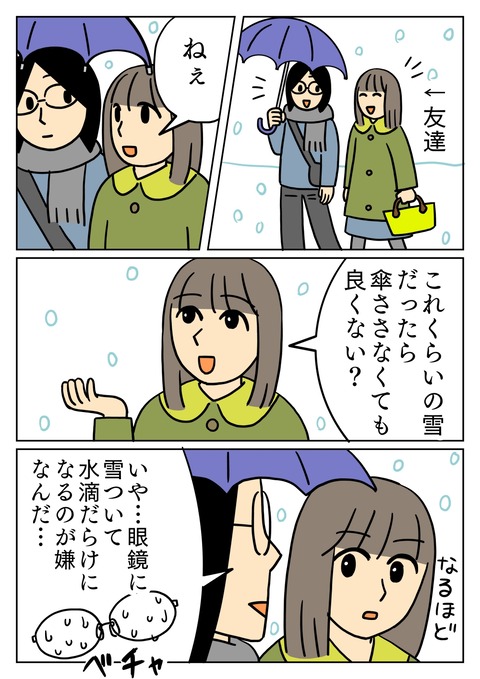 雪でも傘をさす理由