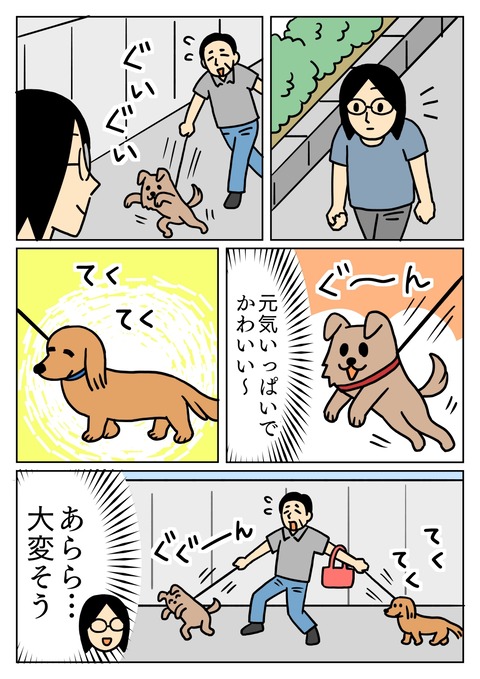 犬の散歩