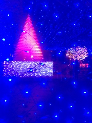2015-12-05-18-46-23