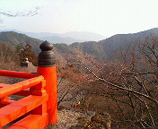77f472fe.jpg