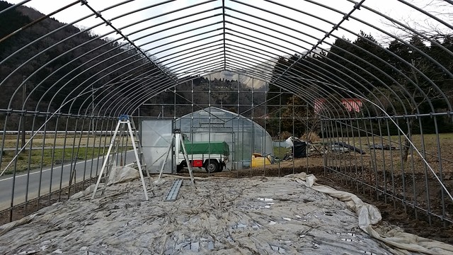 ハウス建設 筋交い補強パイプの取り付け〆 菜々印 ハウス建設 筋交い補強パイプの取り付け〆 菜々印