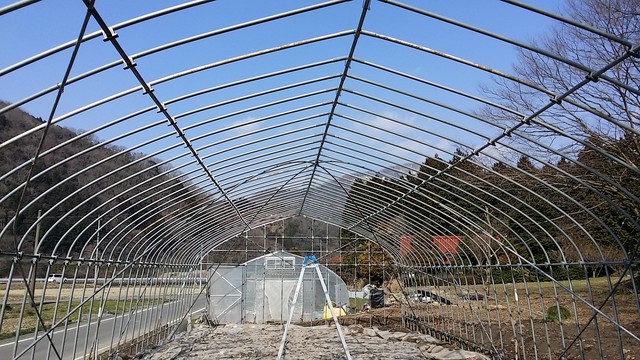 ハウス建設 筋交い補強パイプの取り付け〆 菜々印
