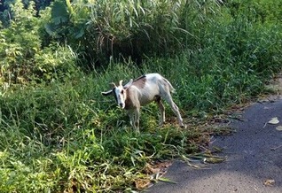IMG_20190806_144350_811