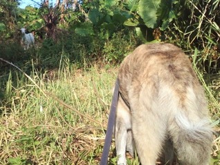 IMG_20191028_084009a