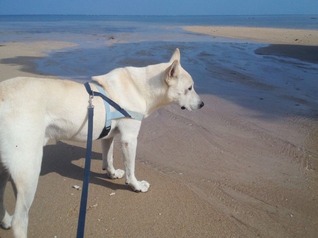 IMG_20191007_092112a