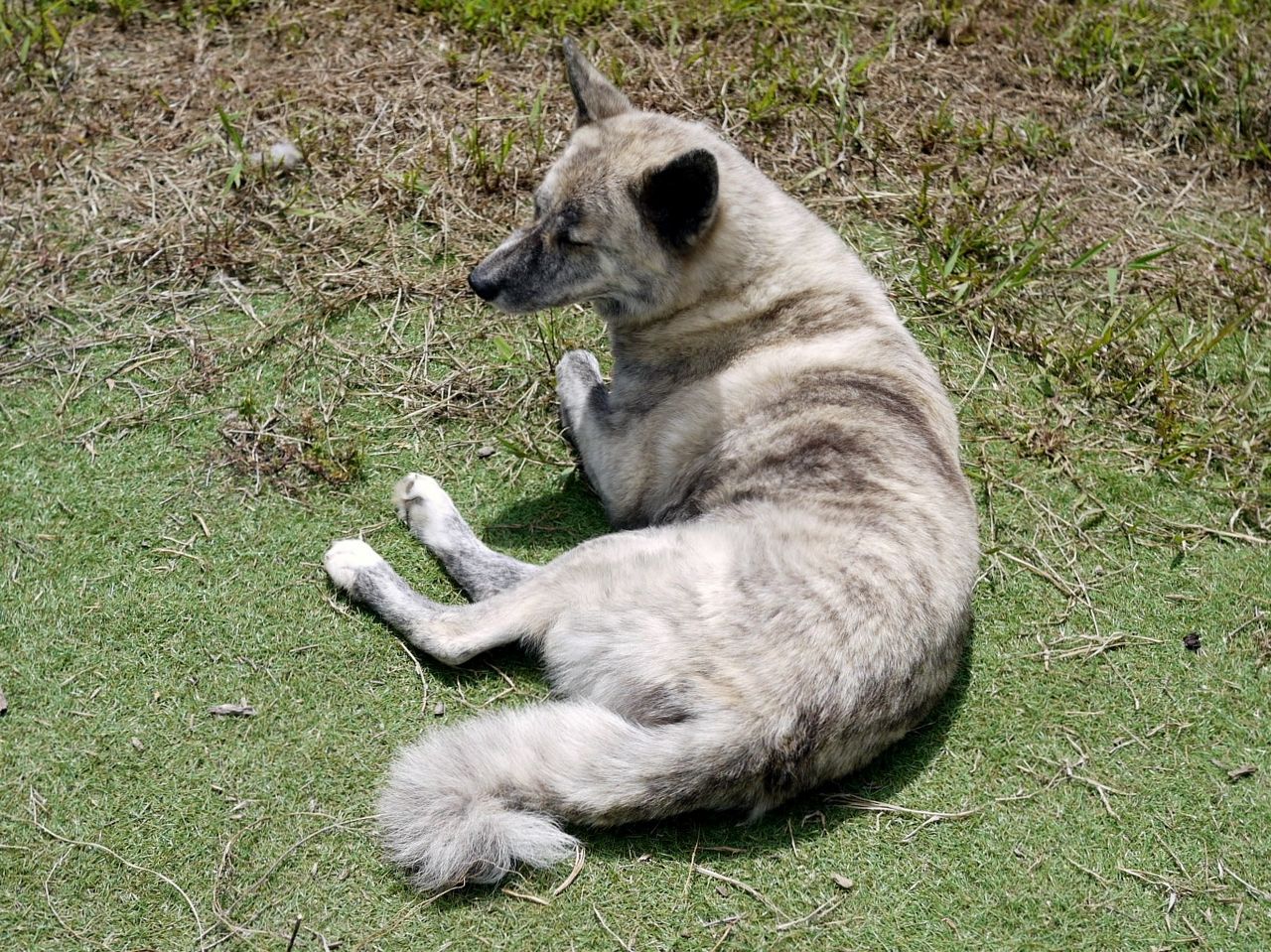 新着札幌 動物 ふれあい カフェ 最高の動物画像 新着札幌 動物 ふれあい カフェ 最高の動物画像