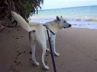 IMG_20191129_100258a