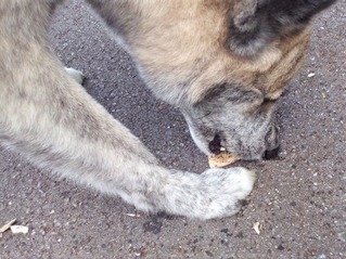 IMG_20191201_092320a