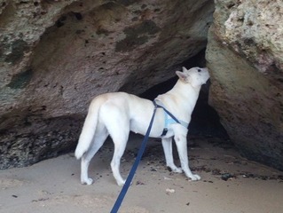 IMG_20191007_092430a