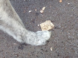 IMG_20191201_092312a