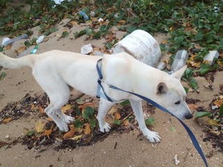 IMG_20191129_100513a