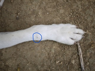InkedP1240978_LI