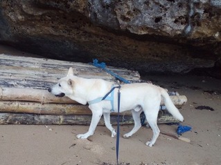 IMG_20191007_092209a