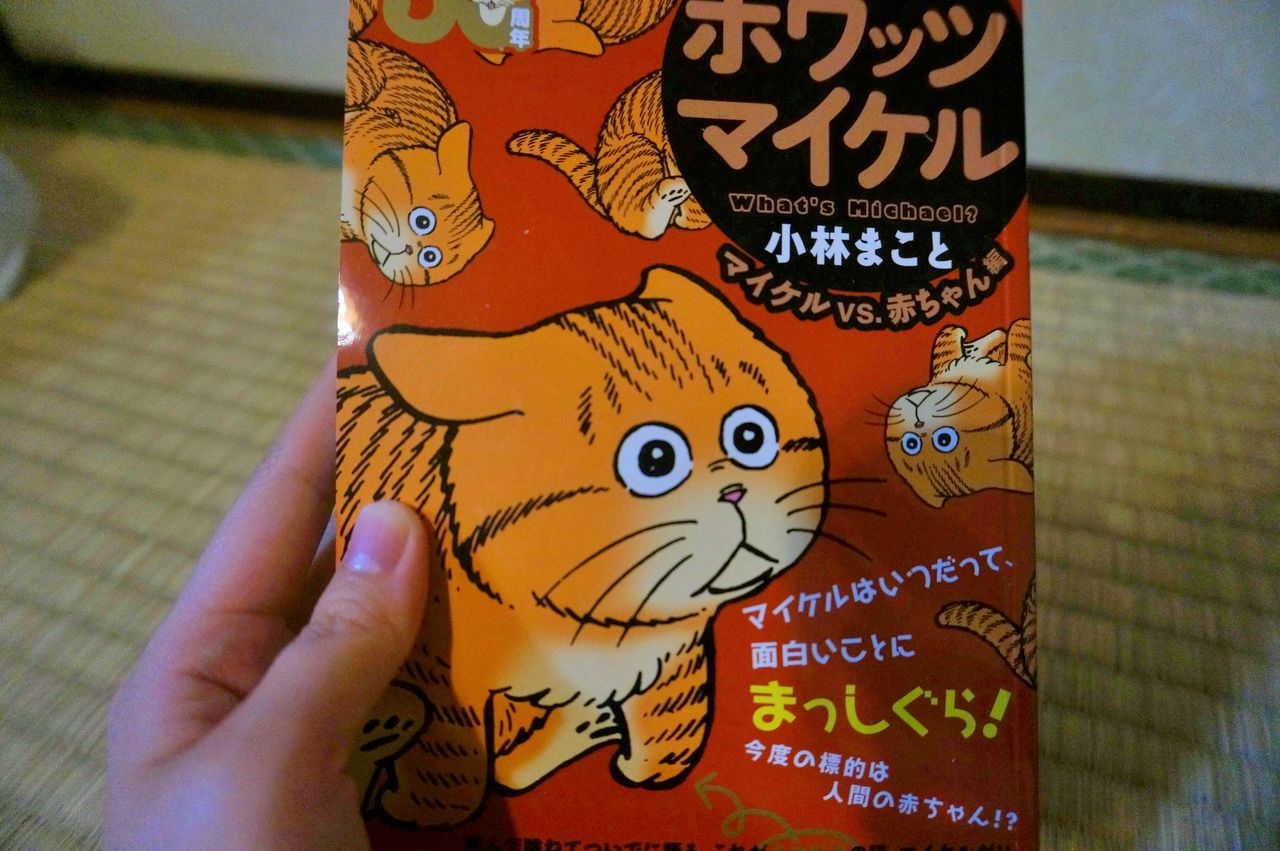 ご近所猫 いつもどうぶつと ご近所猫 いつもどうぶつと